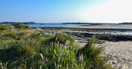 Fototapeta na wymiar Brittany beach at low tide