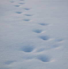 Naklejka premium White fluffy snow on the ground as a background.