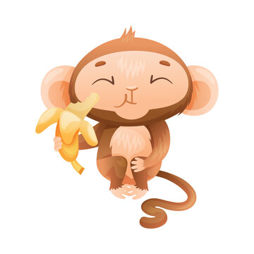 Funny Brown Monkey with Prehensile Tail Sitting and Eating Banana Vector Illustration