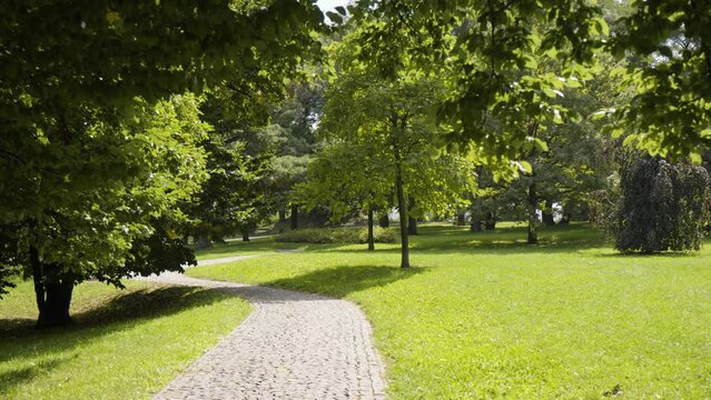 A paved pathway through a green park on a sunny day