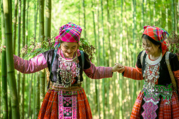 People H'mong ethnic minority with colorful costume dress walking in bamboo forest in Mu Cang Chai,...