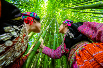 People H'mong ethnic minority with colorful costume dress walking in bamboo forest in Mu Cang Chai,...