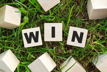 The word WIN is written on wooden cubes. The blocks are located on green grass with sunlight.