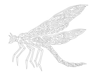 Art for coloring book with hand drawn dragonfly