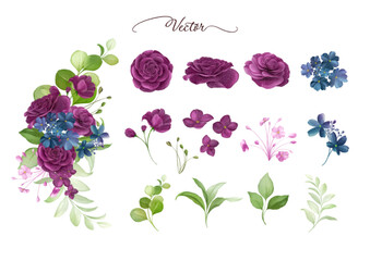 Watercolor floral arrangement and individual elements of purple roses