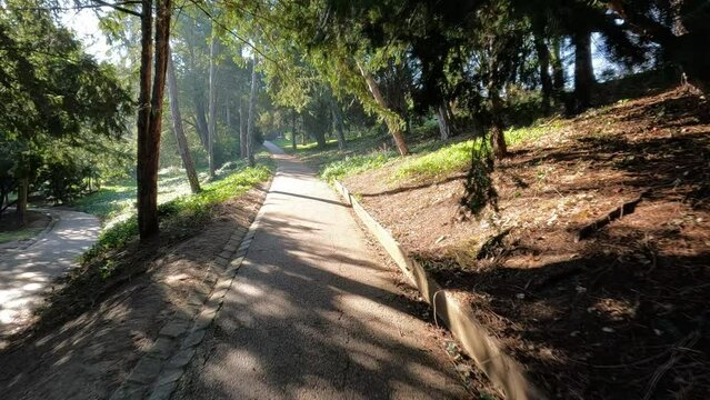 Marcher sur un chemin de sous bois ensoleill&eacute;, 119,88fps ralenti X4 - 29,97fps