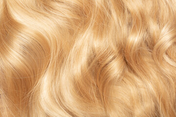 Blond hair close-up as a background. Women's long blonde hair. Beautifully styled wavy shiny curls....