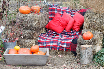 autumn decoration: harvest, ripe pumpkins, red pillows and checkered plaid on hay background
