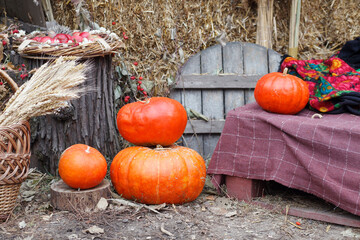 autumn decoration, harvest, ripe pumpkins  on wooden background