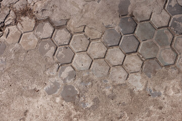 Texture of concrete paving stones in the form of honeycombs. Close-up Fragment. Top view. Background