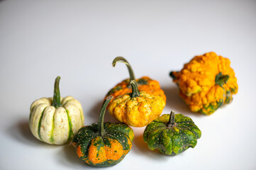 Decorative pumpkins collection isolated on white background