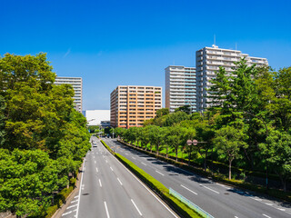 住宅地の幹線道路　多摩ニュータウン
