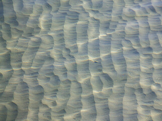 Fototapeta premium Sandy Seabed or Sea Floor through clear sea water with sunlight on the sea surface. 