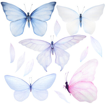 Watercolor illustration of tender pink and blue butterflies with leaves.