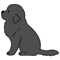 Simple and adorable Newfoundland dog illustration sitting in side view