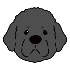 Simple and adorable Newfoundland dog illustration front face