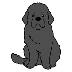 Simple and adorable Newfoundland dog illustration sitting in front view