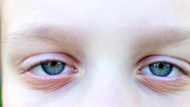 the boy moving his pupils. smiling blue eyes of a child closeup.