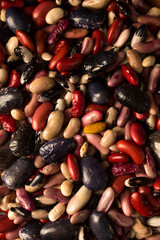 Colorful organic beans