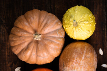 delicious organic pumpkins of various varieties
