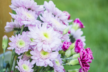 pink and white flowers