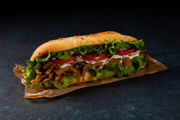 Vegetarian shoarma sandwich. A long roll. Dark mood.