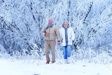 Nicel elderly couple rejoice together in winter