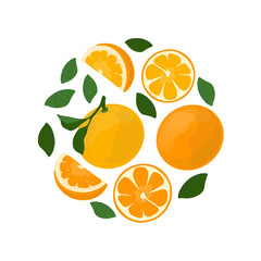Vector set with oranges fruits, fruit's slices and leaves.