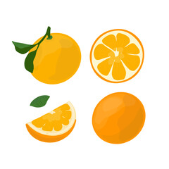 Vector set with oranges fruits, fruit's slices and leaves.