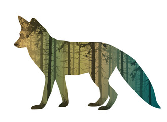 Fototapeta premium Fox silhouette with forest inside, vector illustration, isolated object 