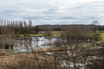Nature reserve park with wetlands, fields and bare winter trees around Ghent, Flanders