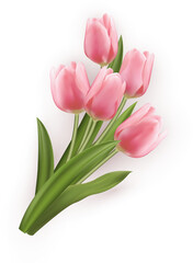 3D realistic plant pink tulip flower bouquet