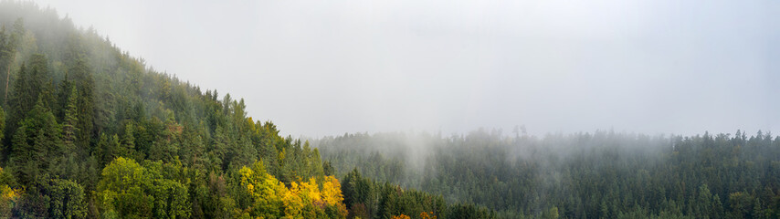Amazing mystical rising fog forest autumnal trees landscape in black forest ( Schwarzwald ) Germany panorama banner - Dark autumn mood