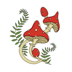 beautiful fly agaric