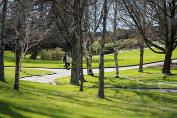 family together in a park in spring time 