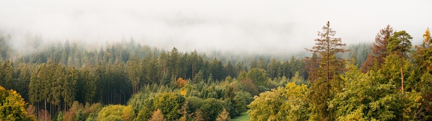 Amazing mystical rising fog forest autumnal trees landscape in black forest ( Schwarzwald ) Germany panorama banner - Dark autumn mood - obrazy, fototapety, plakaty