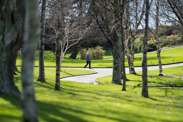 family together in a park in spring time 