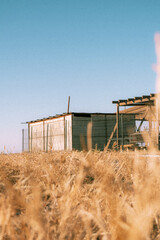 abandoned building and dry grass
