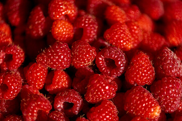 Fresh raspberries background. Healthy food organic nutrition. Top view from above
