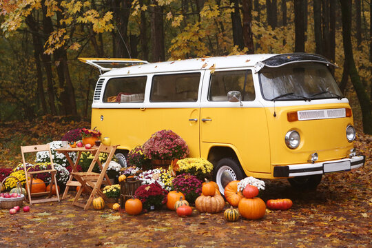 fall composition with old van, pumpkins, flowers and picnic chairs and table on the autumn forest background