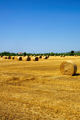 Fototapeta premium Country landscape near Barbarano, Vicenza, Italy