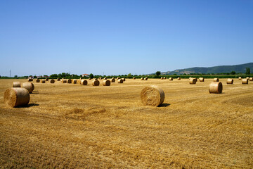 Fototapeta premium Country landscape near Barbarano, Vicenza, Italy