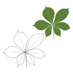Set of vector chestnut leaf outline and coloured icon. Simple chestnut leaves illustration for logo. Realistic hand drawn leaves illustration set on white background.