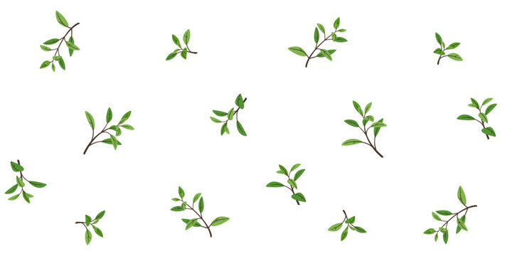 Branch with green leaves. Trendy pattern with twig. Vector illustration.