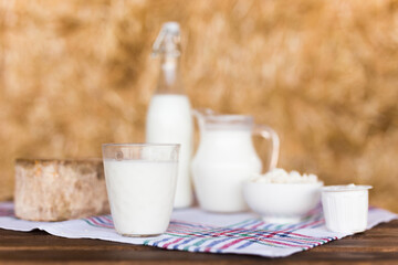 jug of milk, bottle of kefir, cottage cheese, cream and yogurt in bowl, cheese, butter in mow
