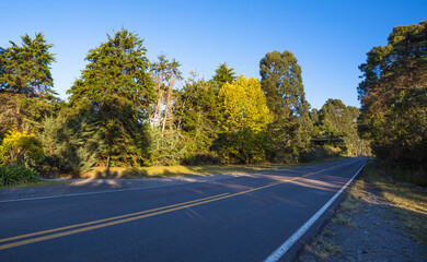 Asphalted road in rural area in southern Brazil.