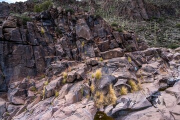 Fototapeta na wymiar An overlooking view of Gold Canyon, Arizona