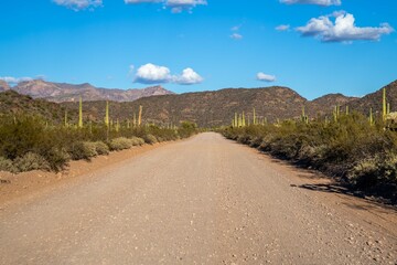 A long way down the road going to Organ Pipe Cactus NM, Arizona
