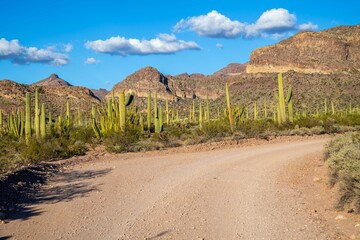 A long way down the road going to Organ Pipe Cactus NM, Arizona