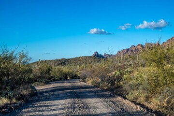 A long way down the road going to Organ Pipe Cactus NM, Arizona
